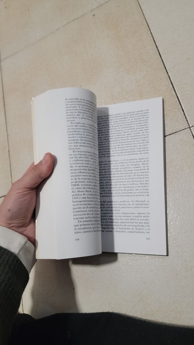 Un desnudo de la historia (Espejo de España) (Spanish Edition)