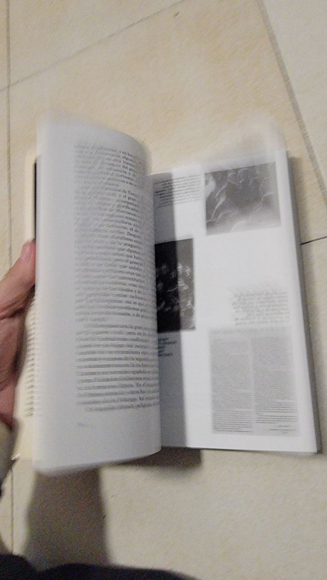 Un desnudo de la historia (Espejo de España) (Spanish Edition)