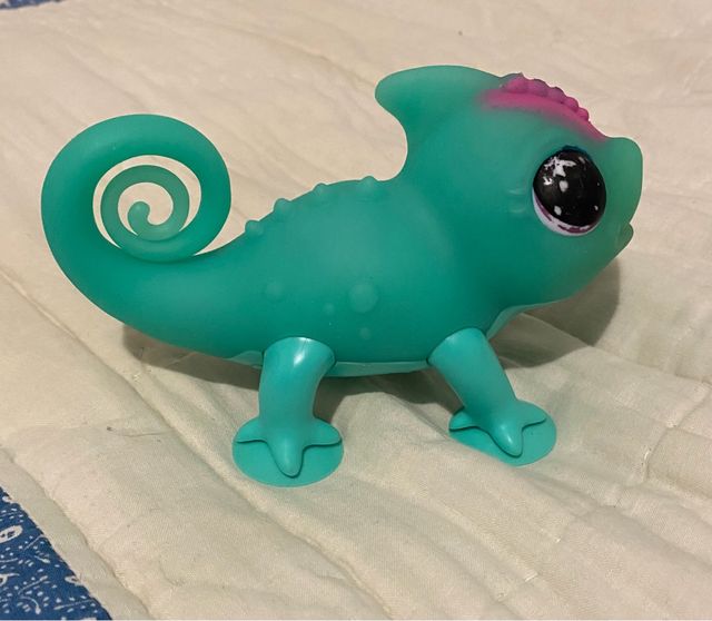 Camaleon little live pets