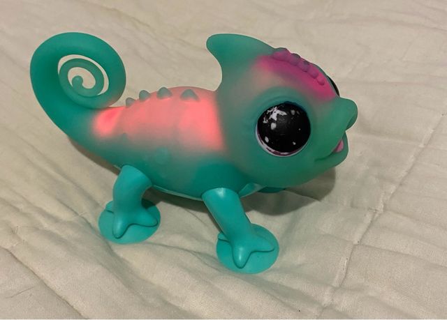 Camaleon little live pets