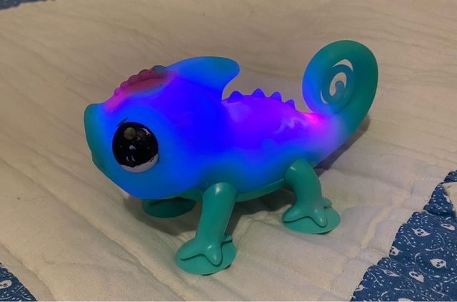 Camaleon little live pets