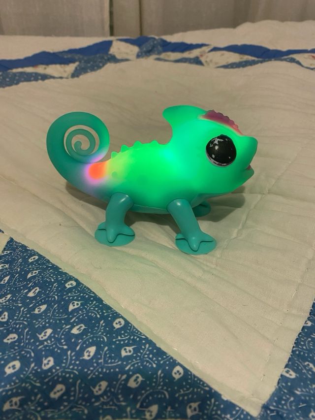 Camaleon little live pets