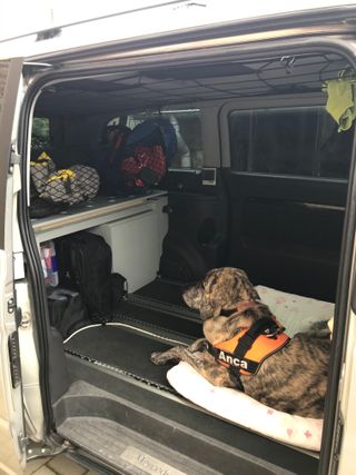 Mercedes-Benz Viano 2009