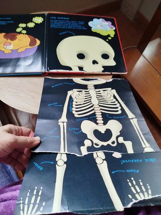 Mi primer libro de anatomía (Spanish Edition)