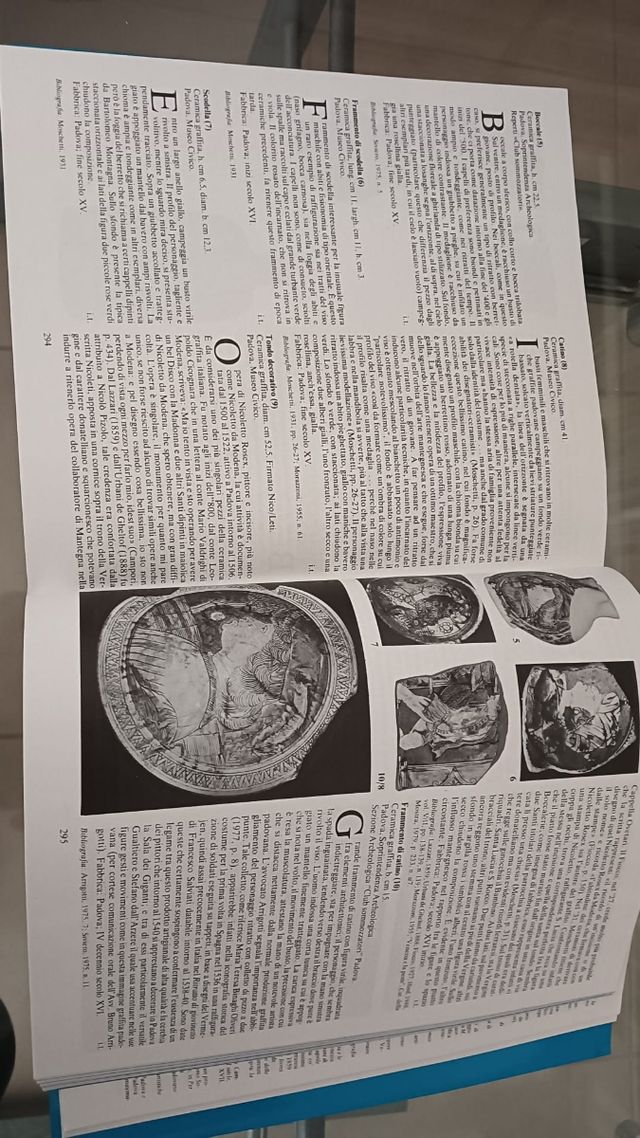 Libro su Alvise Cornaro