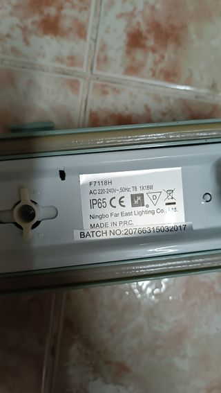 2 piccoli fiori fluorescenti