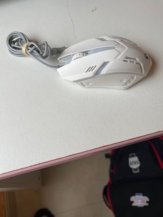 Raton de ordenador/PC