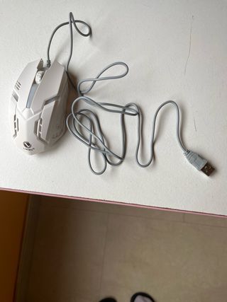 Raton de ordenador/PC
