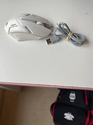 Raton de ordenador/PC