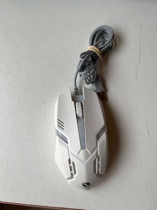 Raton de ordenador/PC