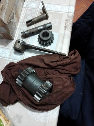 Piñones motocultor pascuali