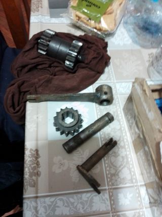 Piñones motocultor pascuali