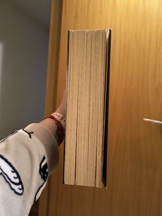 Grey («Cincuenta sombras» contada por Christian Grey 1)