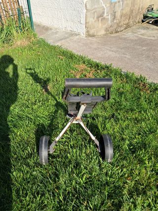 carrito golf inesis