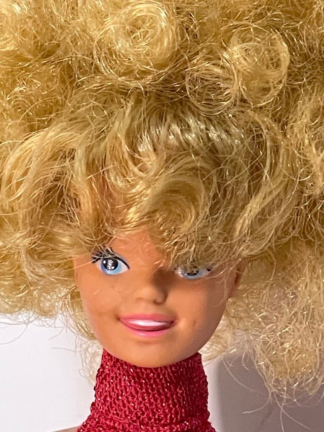 Skipper sorellina Barbie