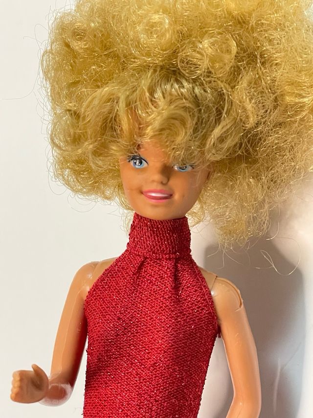 Skipper sorellina Barbie