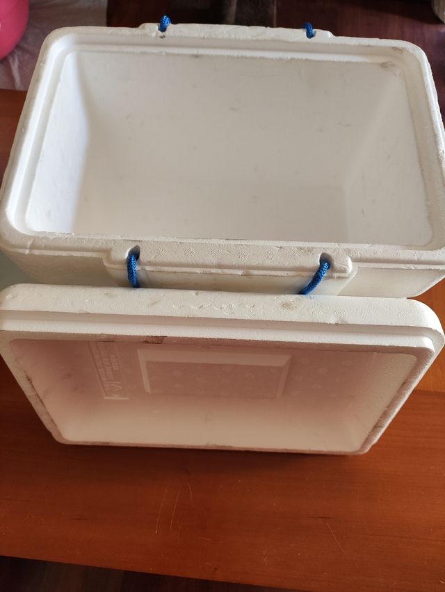 Nevera portátil de poliespan