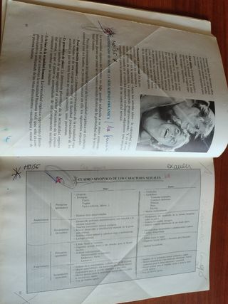 Libro Ética comunitaria