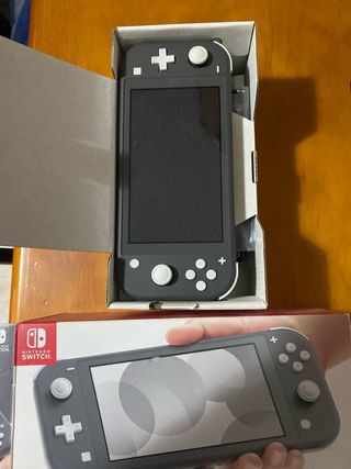 Nintendo switch lite
