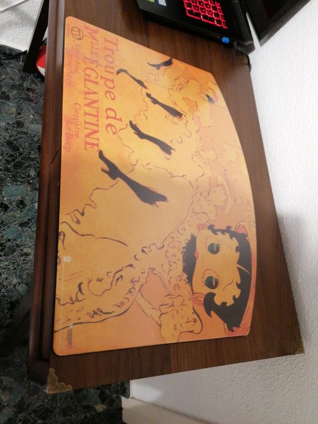 PROTECTOR ESCRITORIO