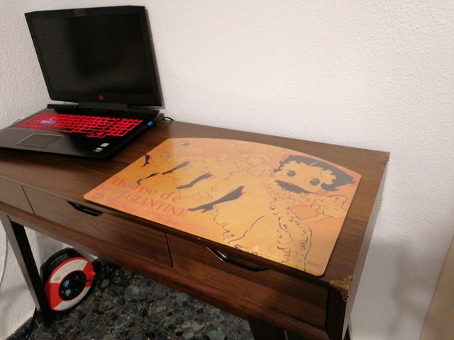 PROTECTOR ESCRITORIO