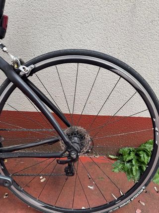 Bici