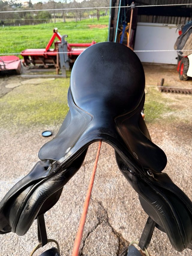 Zaldi royal deluxe 17.5