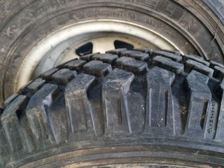 Neumaticos michelin  or 
