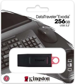 Pendrive Kingston 256 GB