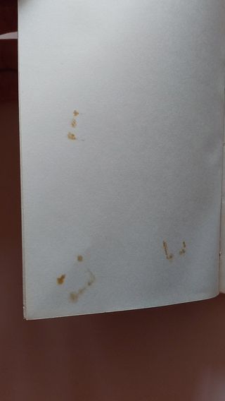 La luz, símbolo y sistema visual: El espacio y la historia en el arte gótico y del Renacimiento (Spanish Edition)