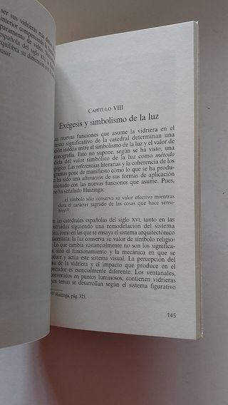 La luz, símbolo y sistema visual: El espacio y la historia en el arte gótico y del Renacimiento (Spanish Edition)