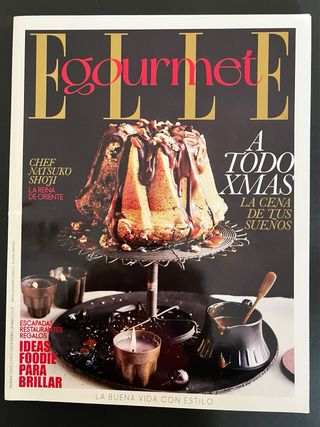 Lote de Revistas Elle Gourmet