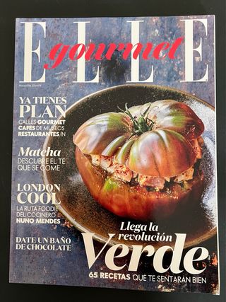 Lote de Revistas Elle Gourmet