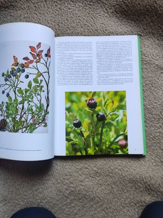 Libro plantas medicinales
