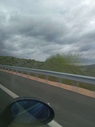 Finca olivos