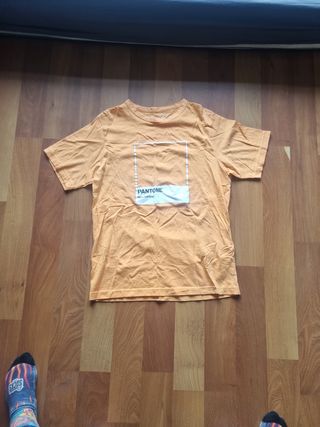 CAMISETA PANTONE