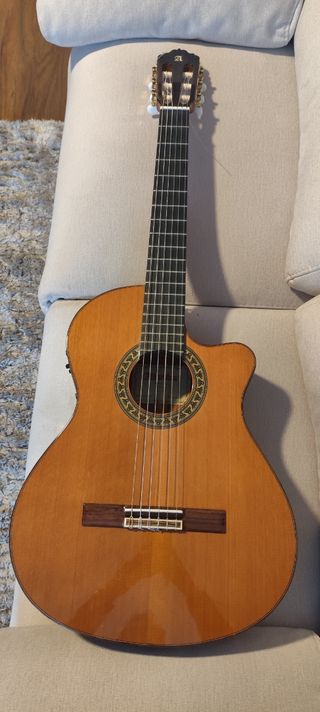 Guitarra electro clásica Alhambra 5 P CW E2