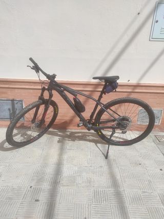 Bicicleta de montaña