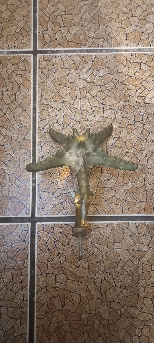 Estrella de mar, para puerta.