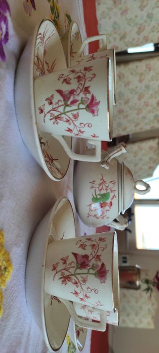 Servizio Maestricht 1900