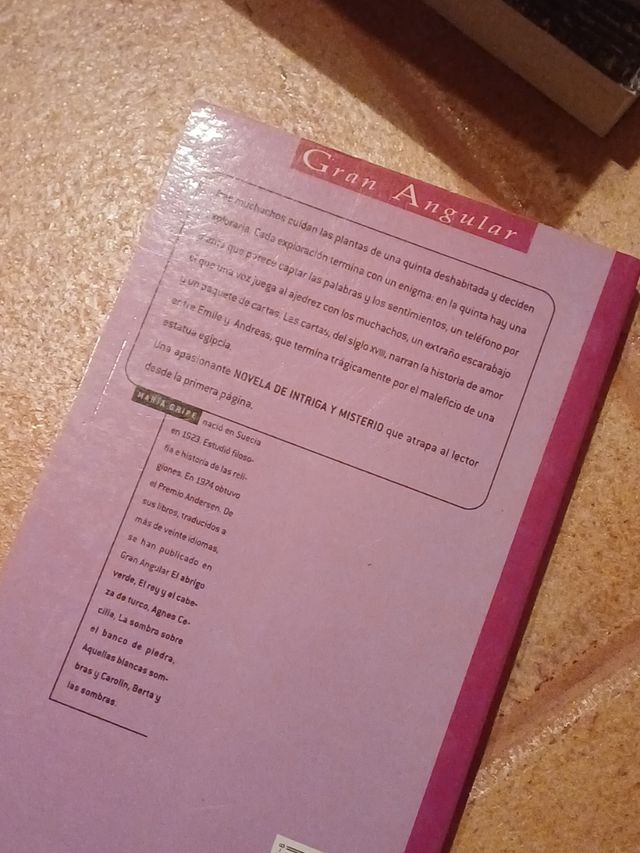 Los escarabajos vuelan al atardecer (Gran Angular) (Spanish Edition)