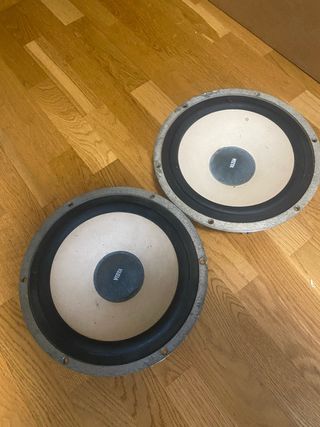 Woofer 10 pulgadas Vieta