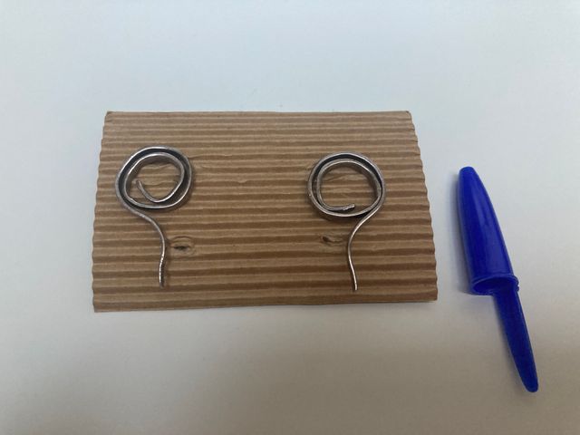 Orecchini in argento a forma di spirale