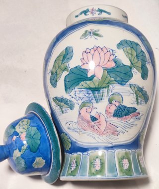 TIBOR GENGIBRE QING 30 cm