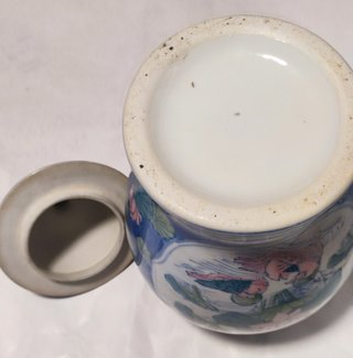 TIBOR GENGIBRE QING 30 cm