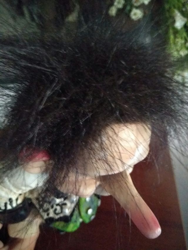 Troll Norway original.