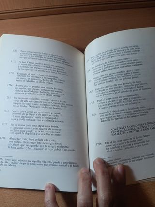 Libro de buen amor (Clásicos modernizados) (Spanish Edition)