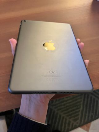 Ipad mini 5