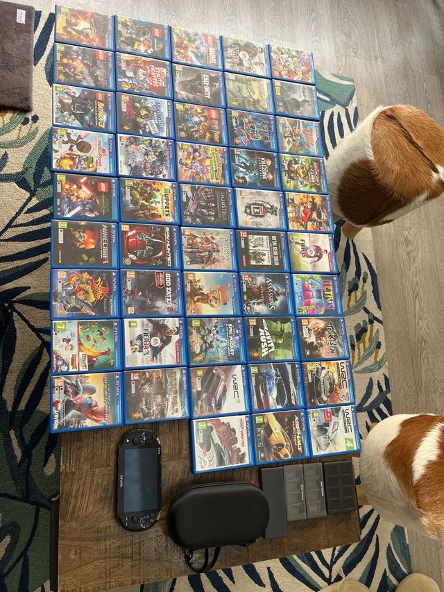 Psvita con 48 juegos y 2 tarjetas 32y4 gb