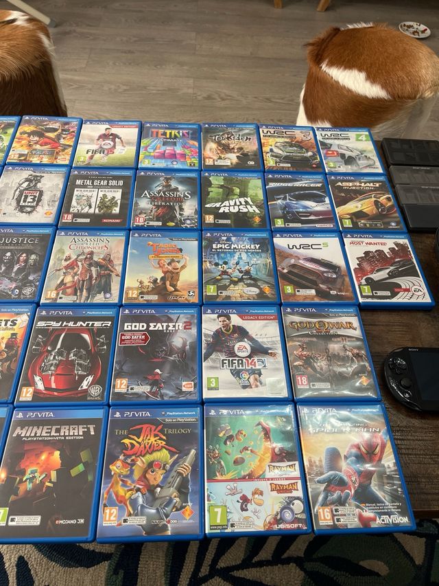 Psvita con 48 juegos y 2 tarjetas 32y4 gb